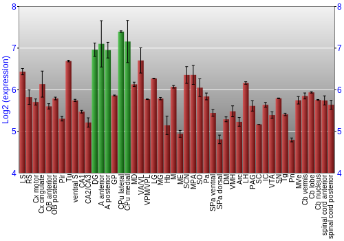 Multi-state expression graph