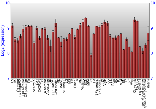Expression graph