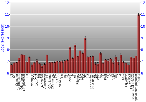 Expression graph