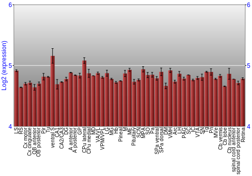Expression graph