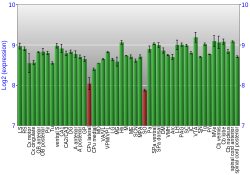 Multi-state expression graph