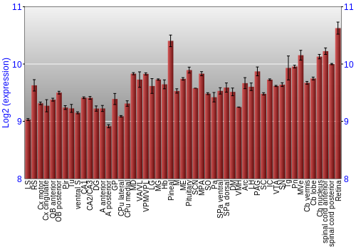 Expression graph
