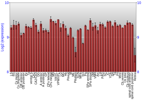 Expression graph
