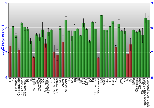 Multi-state expression graph