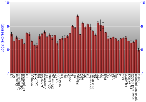 Expression graph