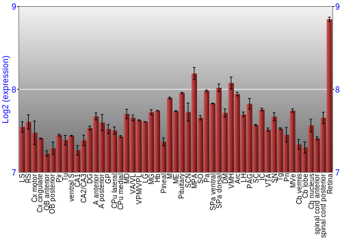 Expression graph