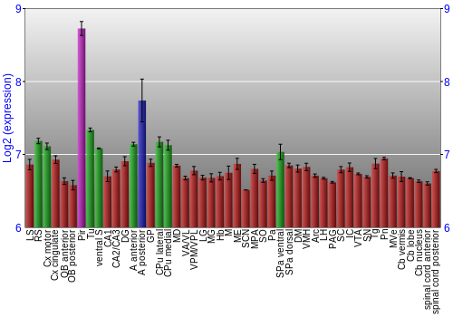 Multi-state expression graph