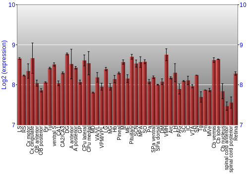 Expression graph