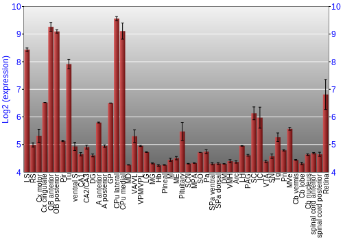 Expression graph