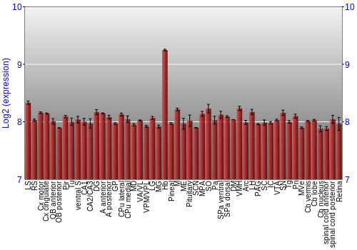 Expression graph