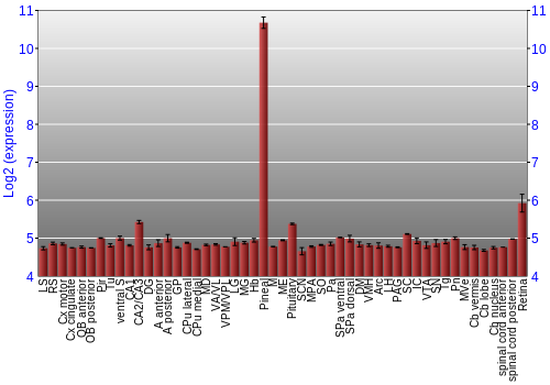 Expression graph