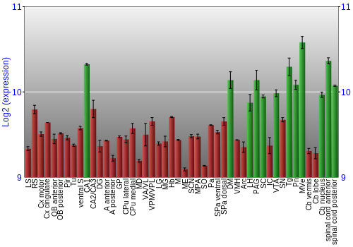 Multi-state expression graph