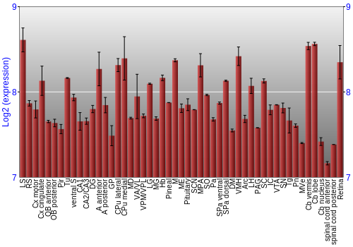 Expression graph