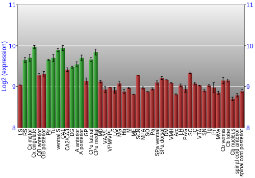 Multi-state expression graph