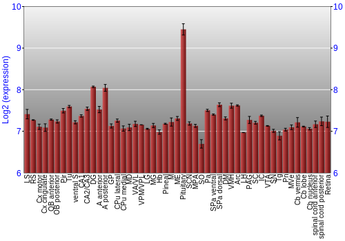 Expression graph
