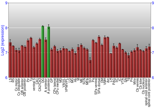 Multi-state expression graph