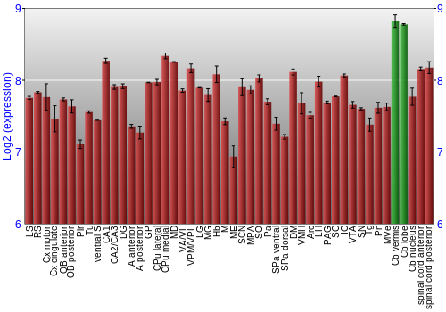 Multi-state expression graph