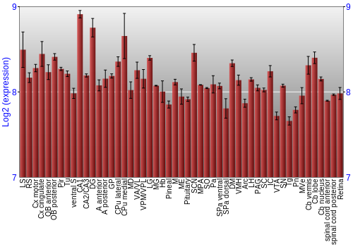 Expression graph