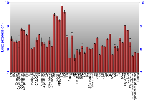 Expression graph