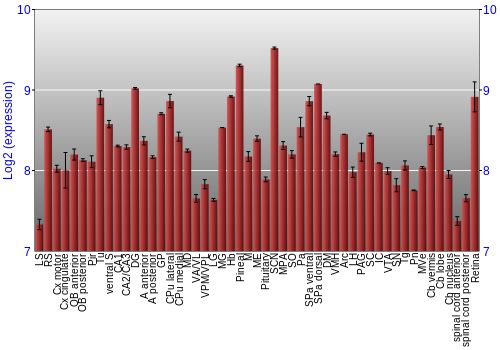 Expression graph