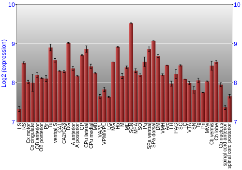 Multi-state expression graph