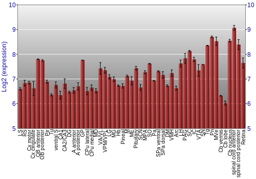 Expression graph