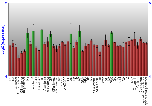 Multi-state expression graph