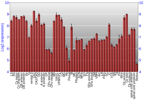 Expression graph