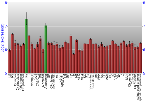 Multi-state expression graph