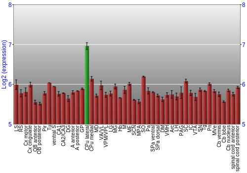 Multi-state expression graph