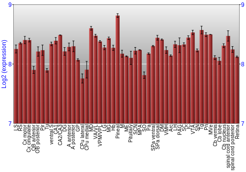 Expression graph