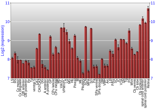 Expression graph