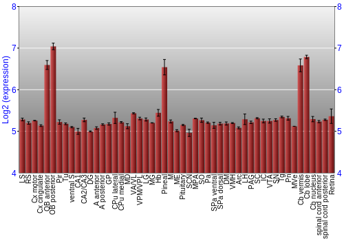 Expression graph