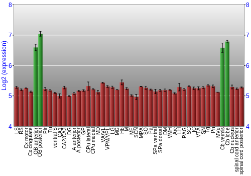 Multi-state expression graph