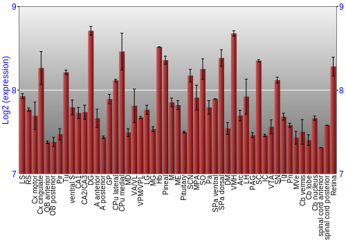 Expression graph
