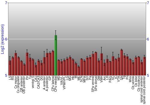 Multi-state expression graph