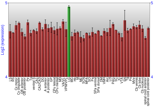 Multi-state expression graph