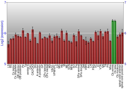 Multi-state expression graph