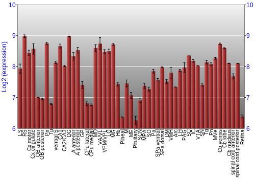 Expression graph