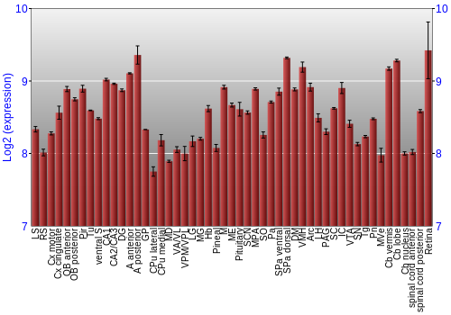 Expression graph