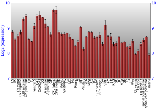 Expression graph