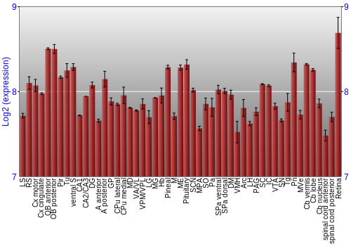 Expression graph