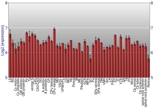 Expression graph