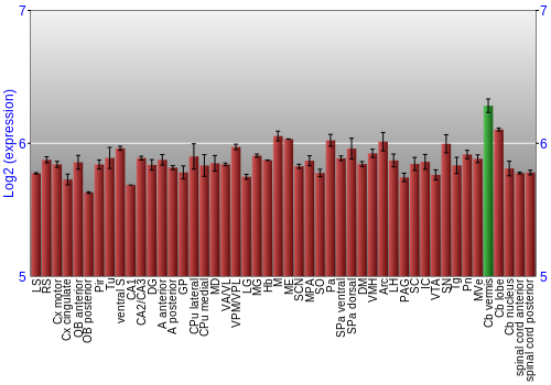 Multi-state expression graph
