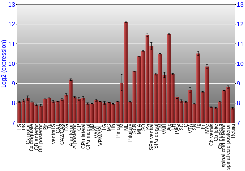 Expression graph