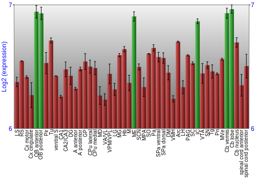 Multi-state expression graph
