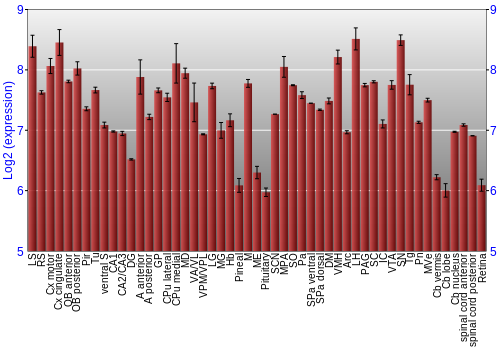 Expression graph