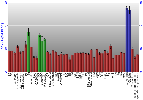 Multi-state expression graph