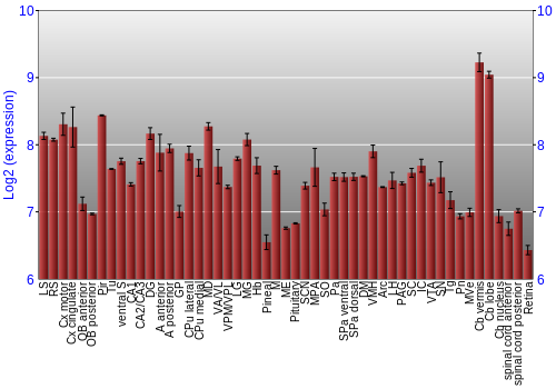 Expression graph