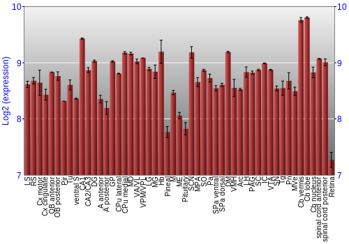 Expression graph